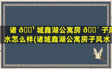 诸 🌹 城鑫湖公寓房 🌴 子风水怎么样(诸城鑫湖公寓房子风水怎么样呀)